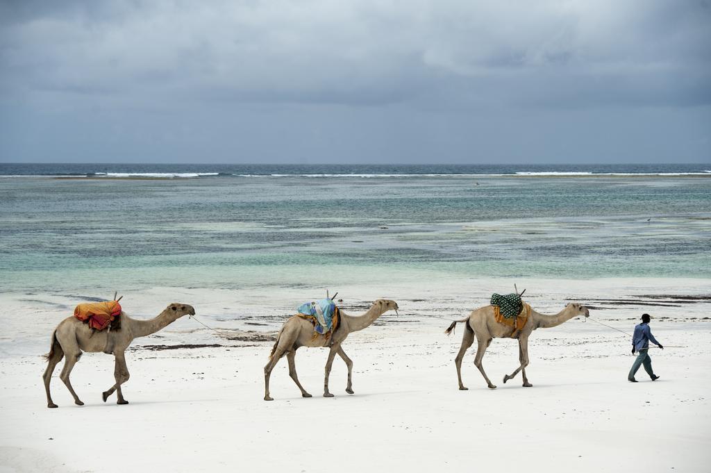 Diani House Hotel Diani Beach Bagian luar foto